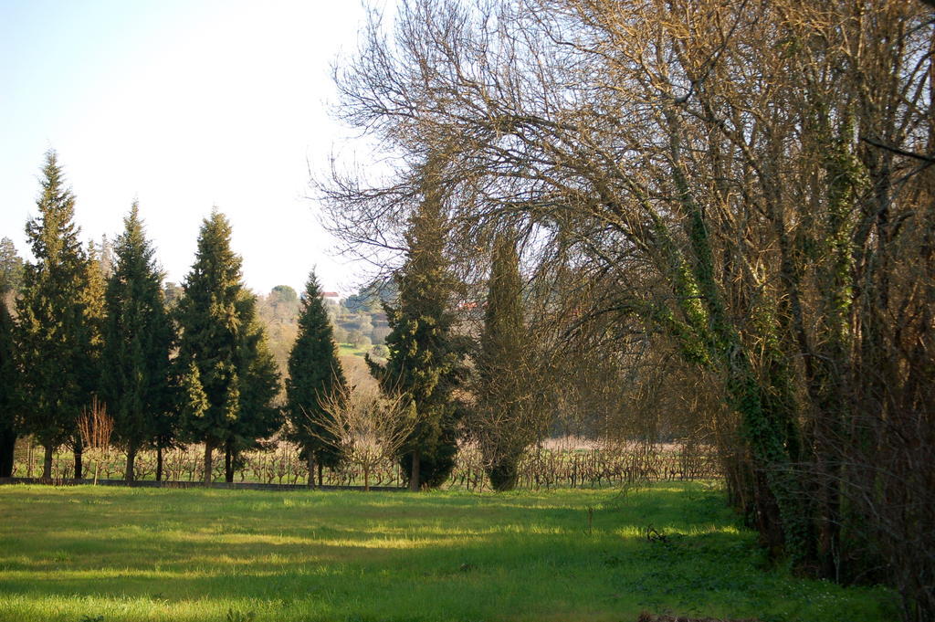 Quinta Da Anunciada Velha Casa de hóspedes Tomar Exterior foto