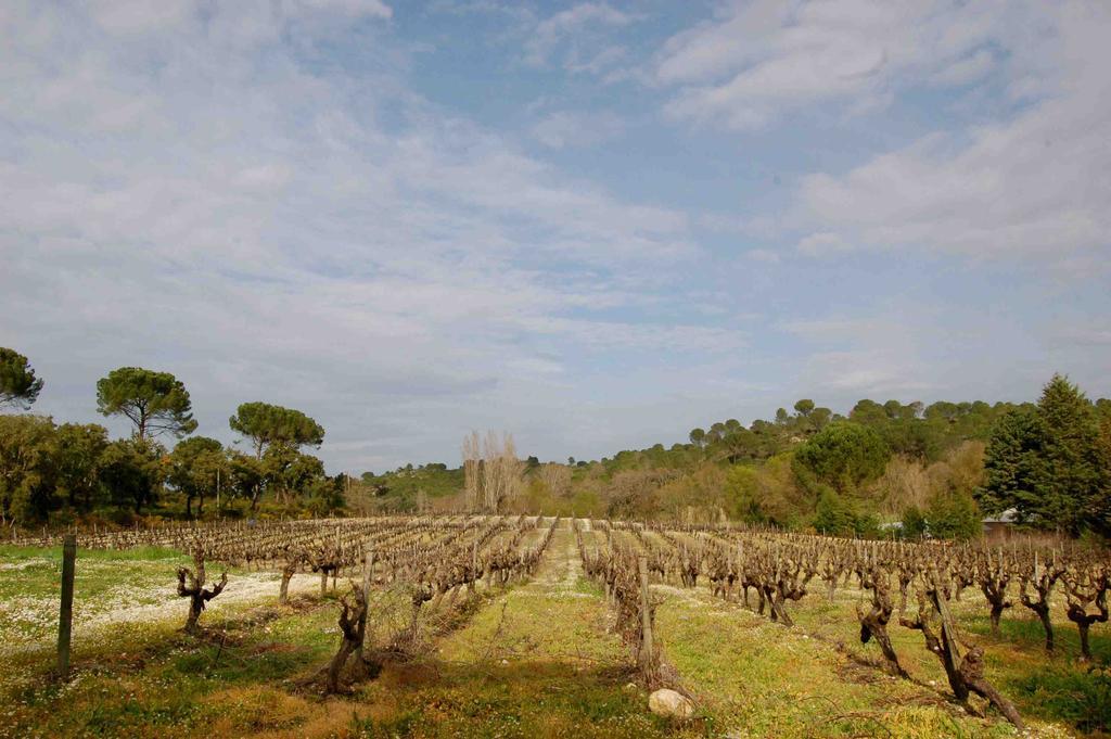 Quinta Da Anunciada Velha Casa de hóspedes Tomar Exterior foto